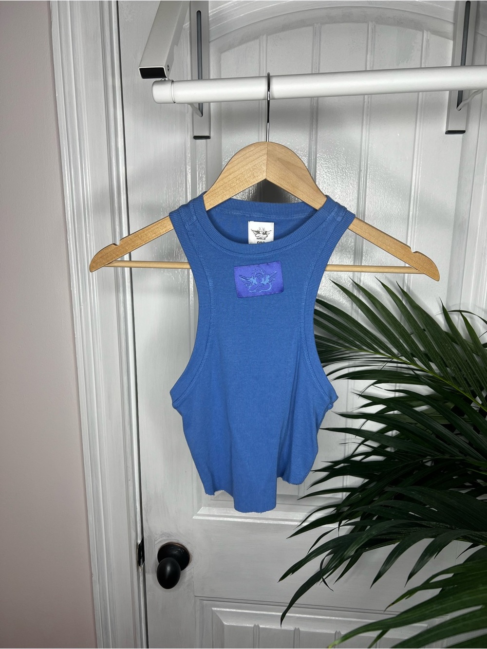 Boys Lie crop tank